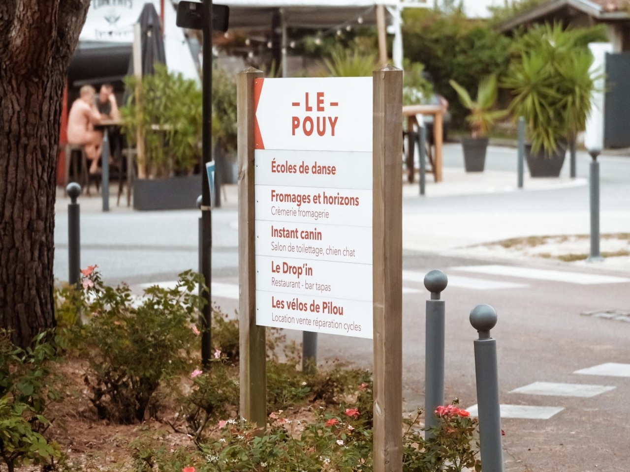 pierre pecastaings 2026 accueil 9