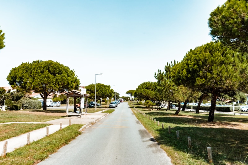 seignosse bourdaines chambrelent projets en cours 1017